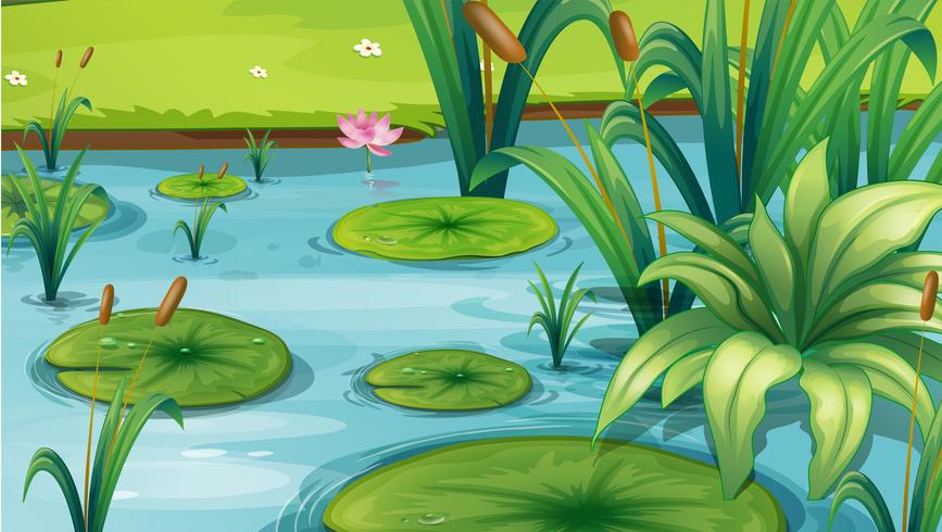 A pond with many plants 521836 Vector Art at Vecteezy