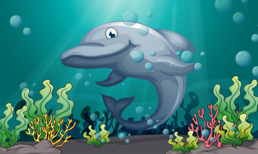 A shark under the sea vector