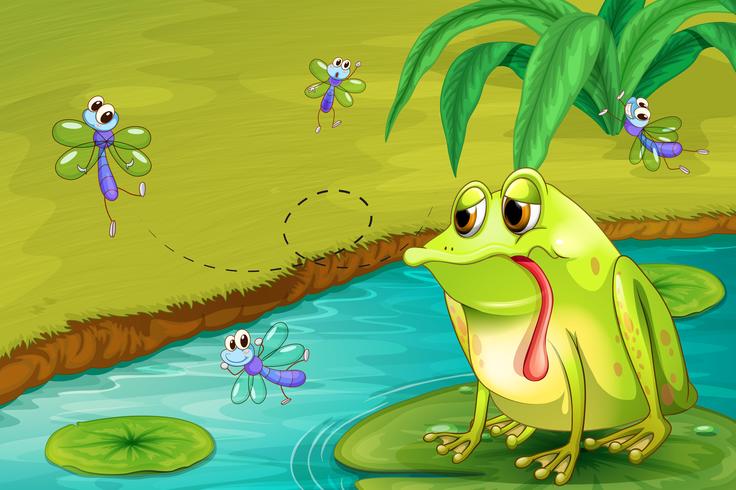 The sad frog in the pond vector