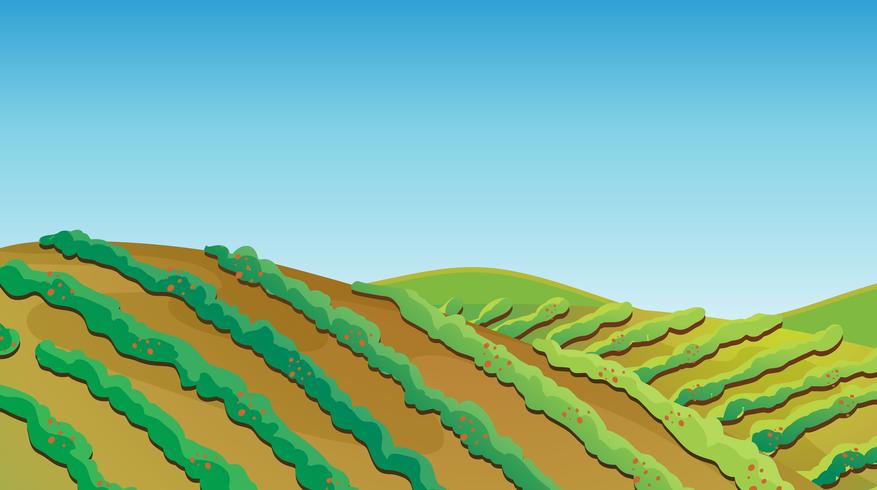 Fertile land vector