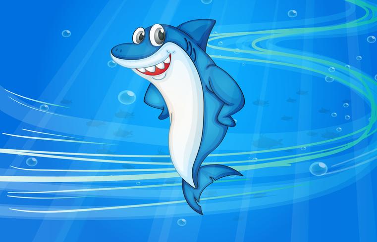 shark fish vector