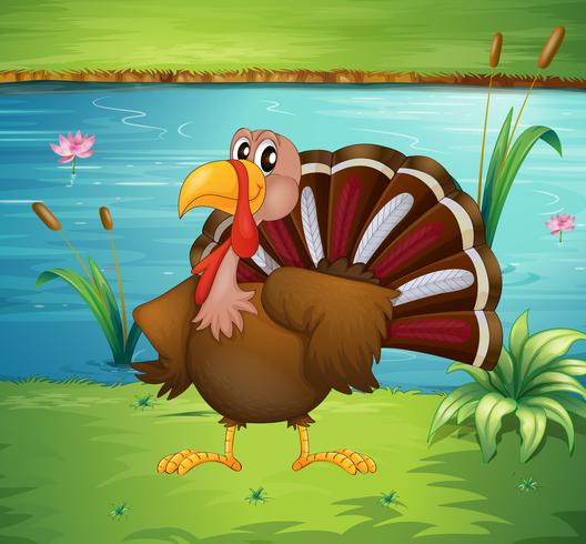A turkey near the pond vector