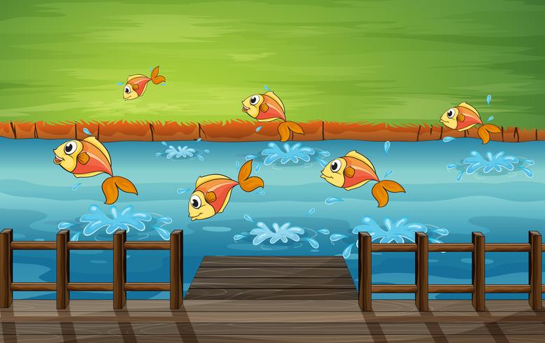 A school of fish  vector