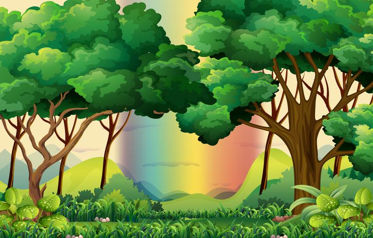 Bosque vector