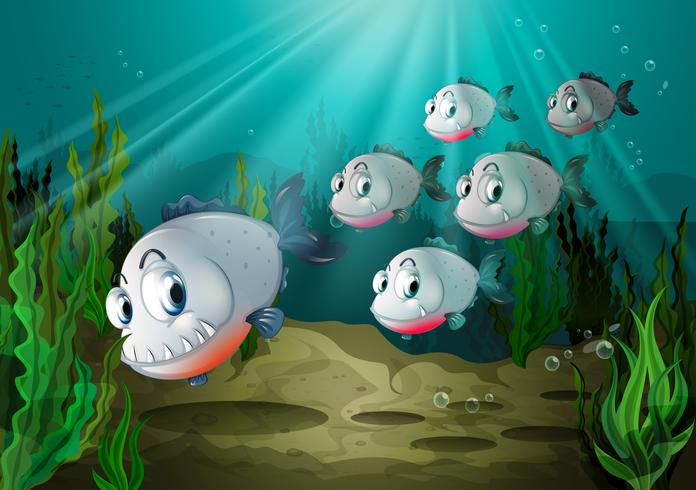 Seis peces con grandes colmillos bajo el mar. vector