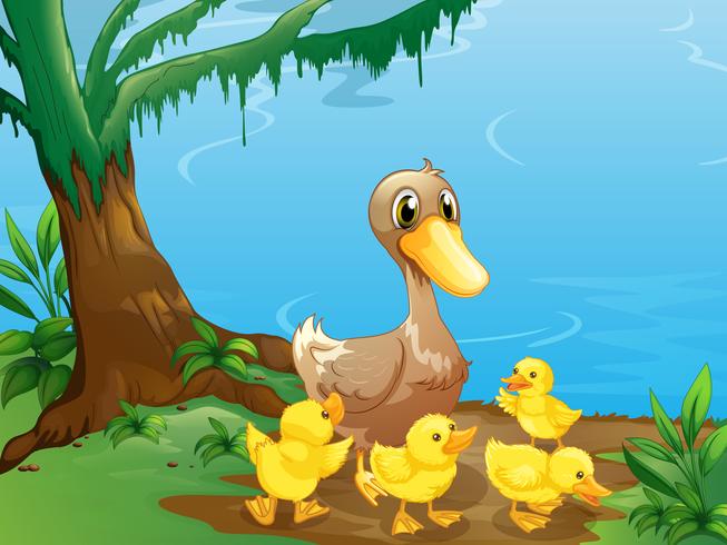 A duck and her ducklings at the riverbank vector