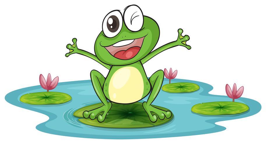 a frog and a water vector