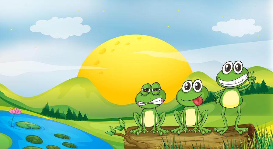 Three frogs at the riverbank vector