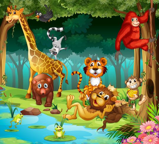 Animals and forest vector