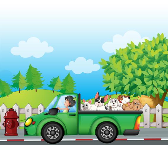 Un coche verde por la calle con perros al fondo. vector