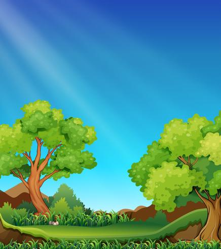 Forest and sky vector