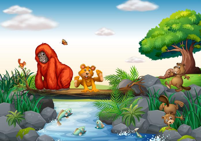 Animals  vector
