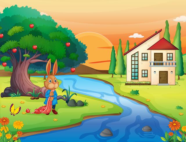 a rabbit in nature vector