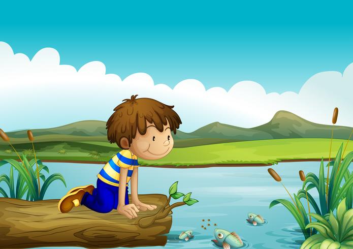 A young boy watching the fishes vector
