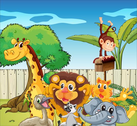 Different kinds of animals vector