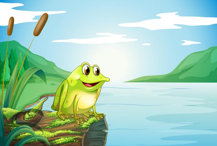 A trunk at the river with a frog vector