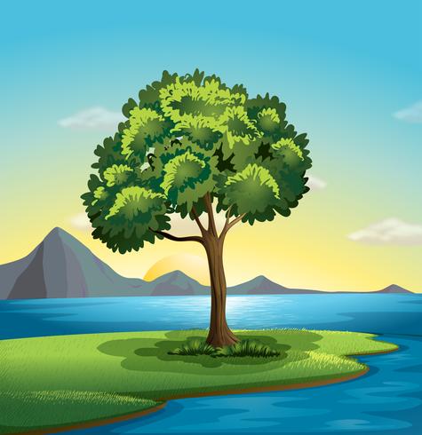 A tree near the ocean vector