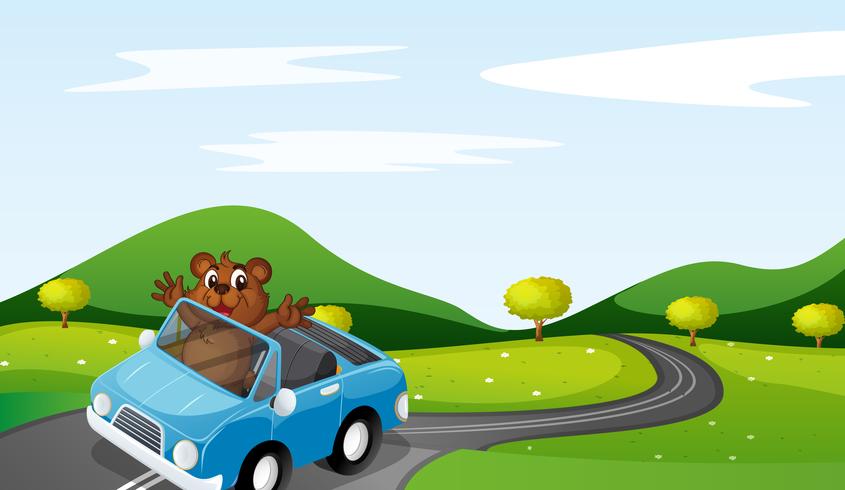 bear and car vector