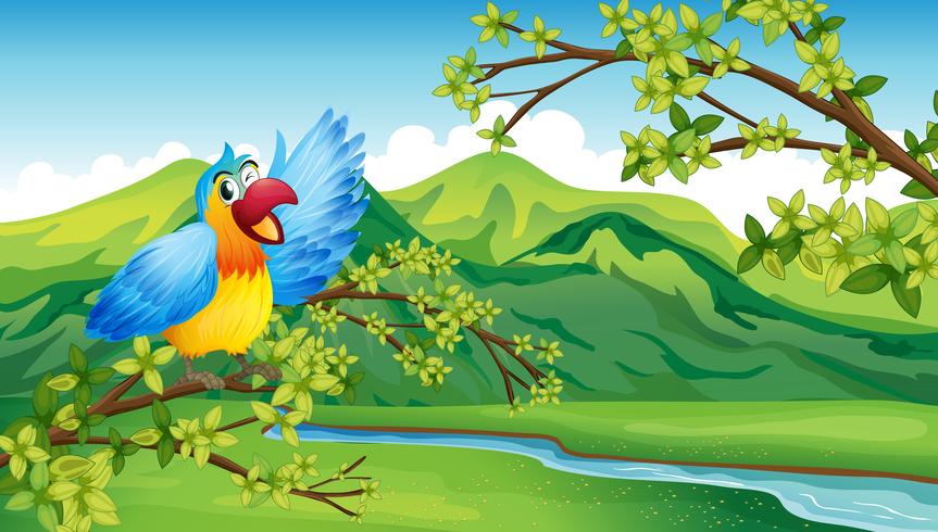 Un Oiseau Sur Une Branche D39un Arbre Telecharger