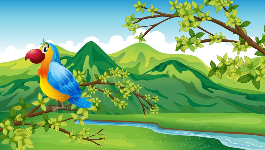 A parrot near the riverbank vector