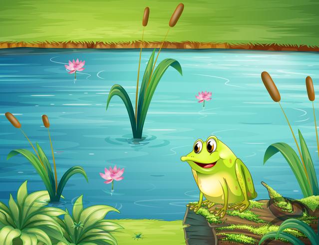 A frog at the riverbank vector