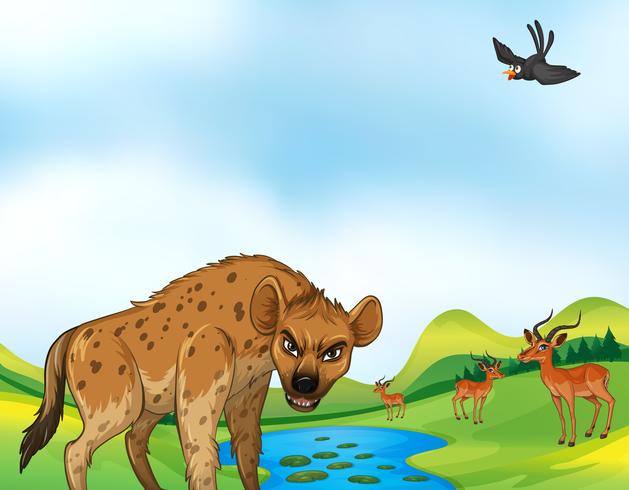 Animals and field vector