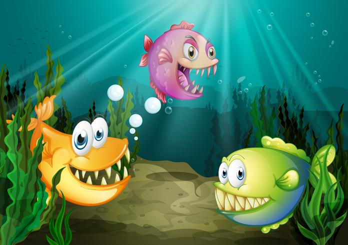 Three different kinds of fishes with big fangs under the sea vector