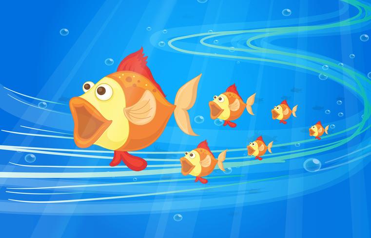 fish vector