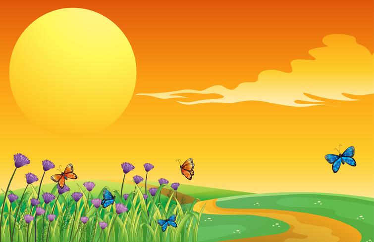 A full moon and the butterflies vector