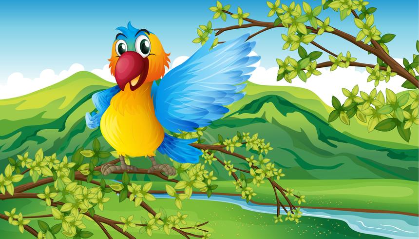 A colorful parrot in the forest vector