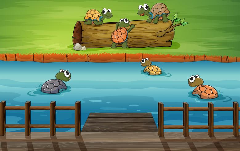 A group of turtles at the river vector