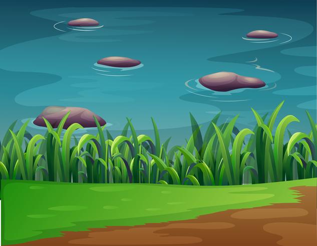 A pond with rocks vector