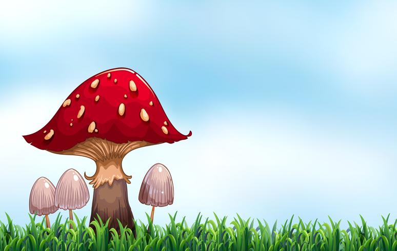 Mushroom vector