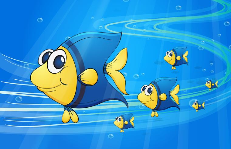 under water fish vector