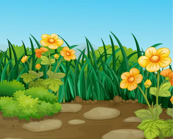 landscape vector