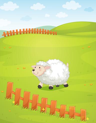 sheep vector