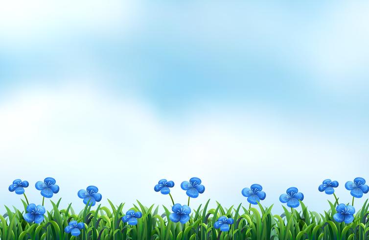 Nature vector