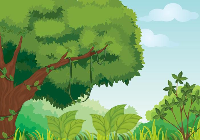 Nature illustration vector