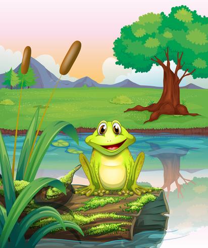 Una rana en el lago vector