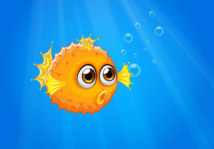 An ugly puffer fish in the ocean vector