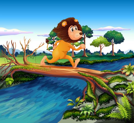 A lion running while crossing the river vector