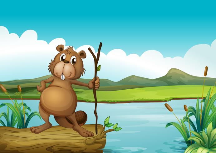 A beaver at the river vector