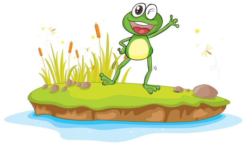 a frog and a water vector