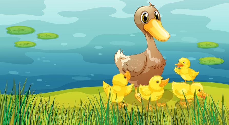 A duck and her ducklings at the riverbank vector