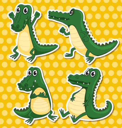 Crocodiles vector