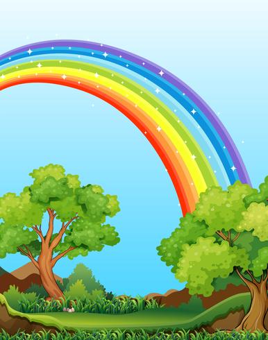 Rainbow and field vector