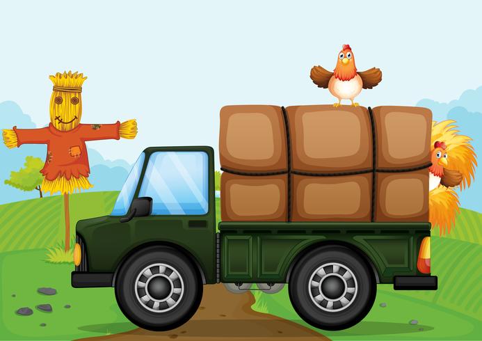 A chicken and the scarecrow vector