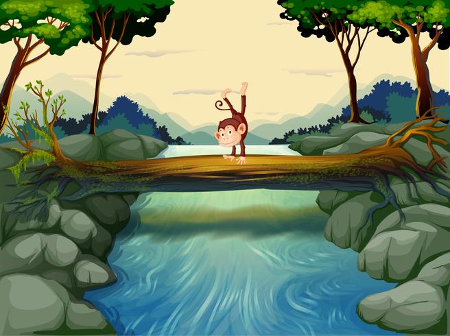 A monkey above the trunk at the river vector