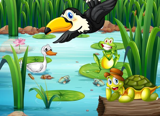 A pond with animals vector