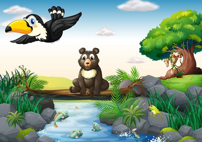 Animals and stream vector